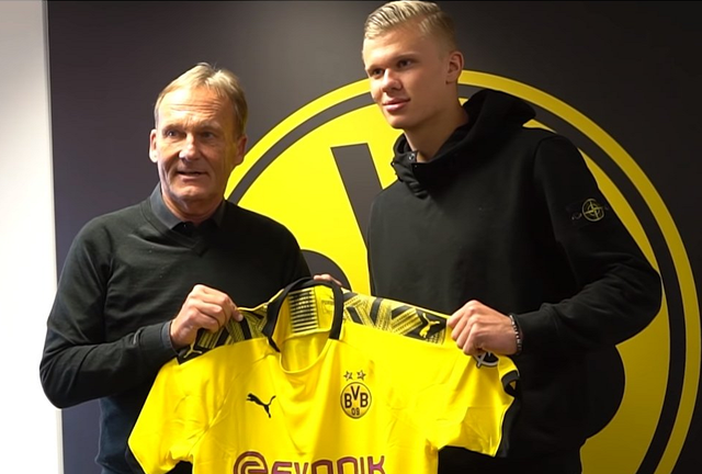 更能引发共 更能引发共